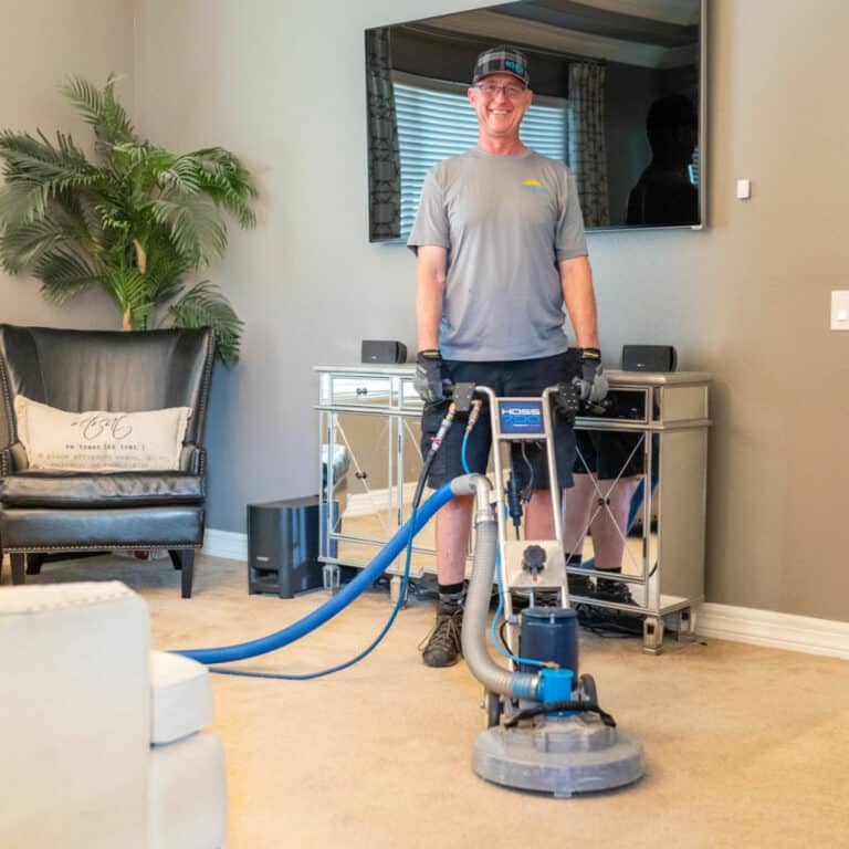 Carpet Cleaning Scottsdale Renew Cleaning Services