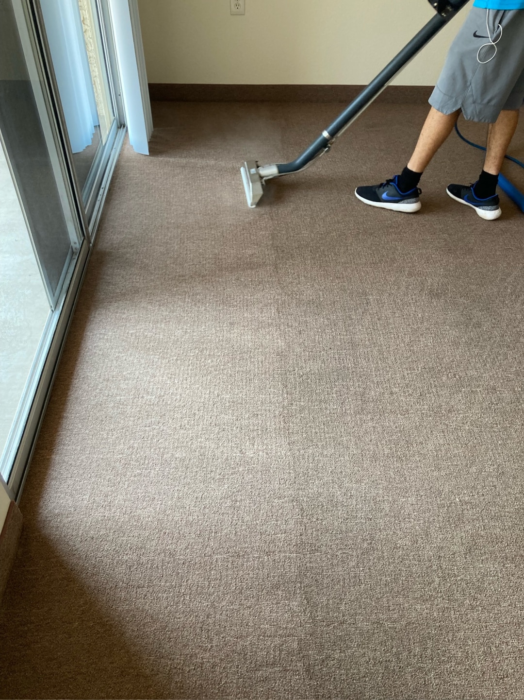 before and after professional carpet cleaning