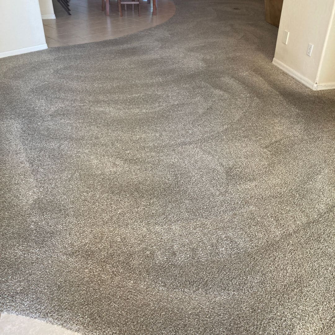 carpet cleaning service in Scottsdale