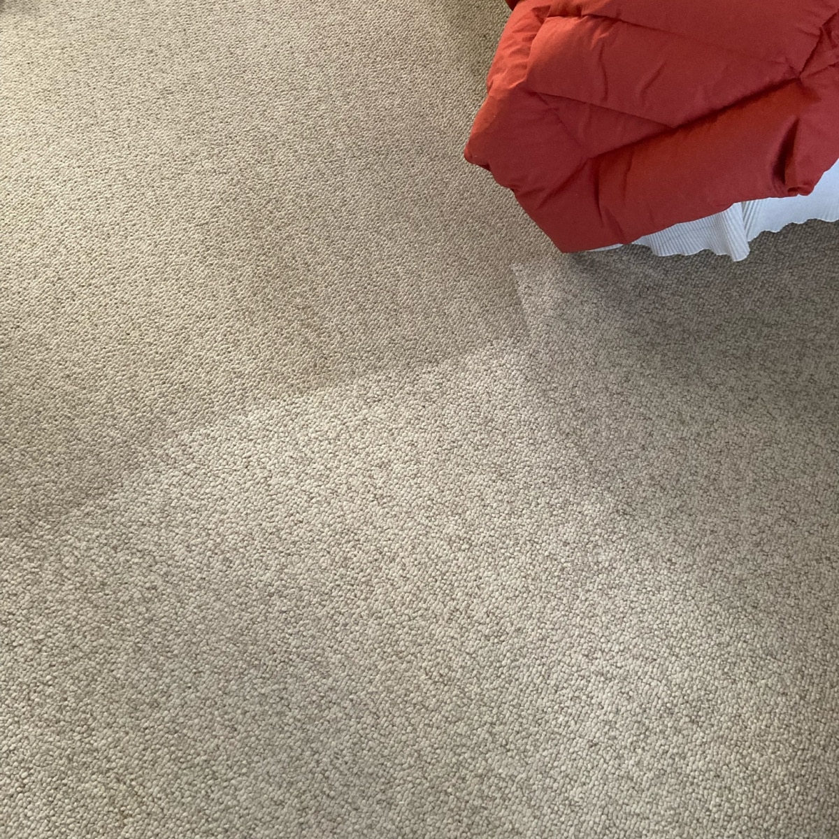 carpet cleaning in Paradise Valley, Arizona]