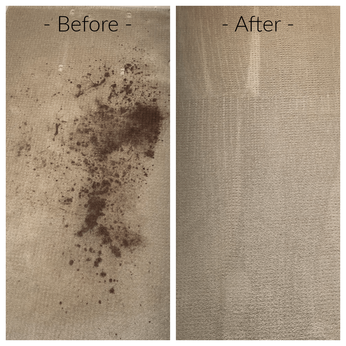 carpet stain removal before and after photos