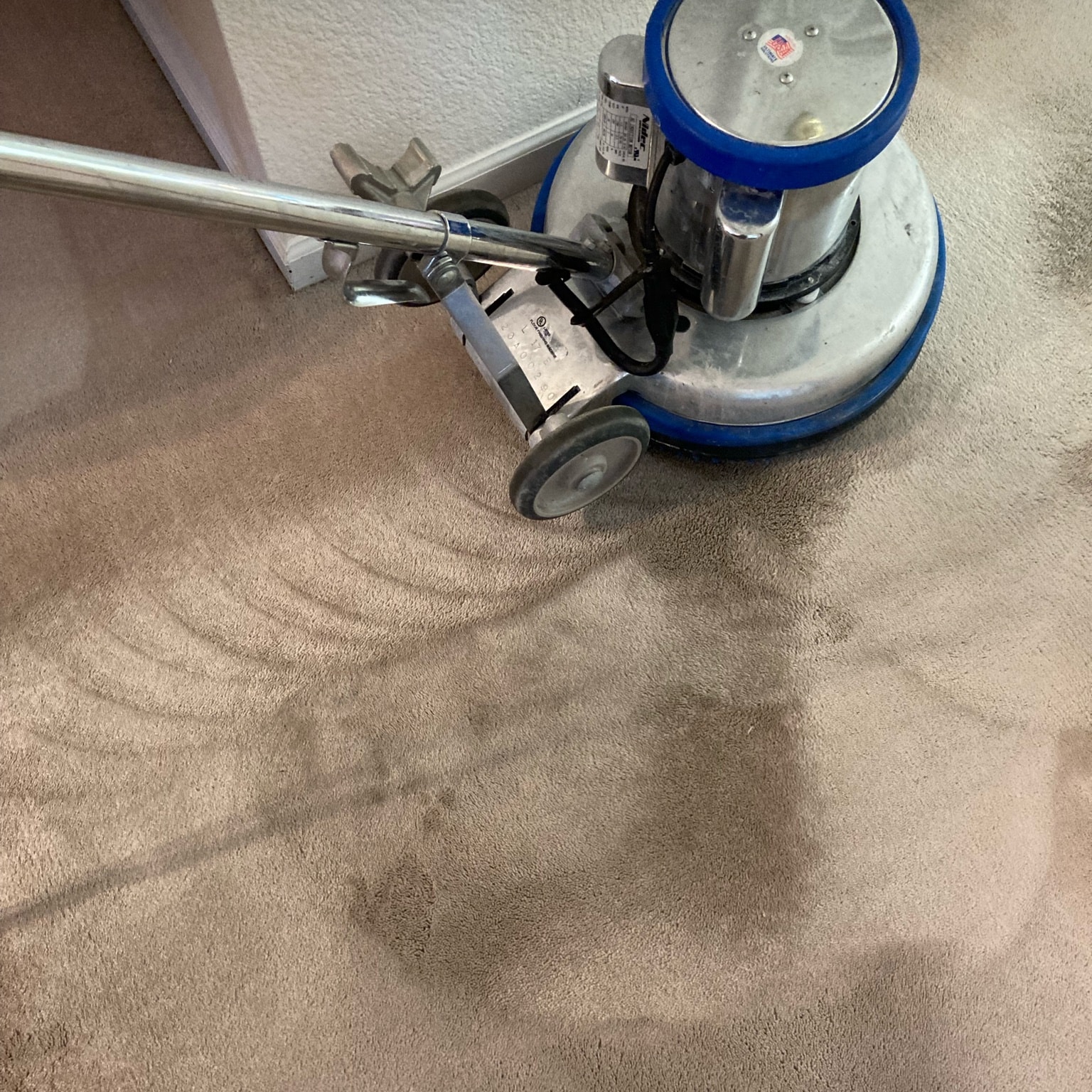 deep carpet cleaner