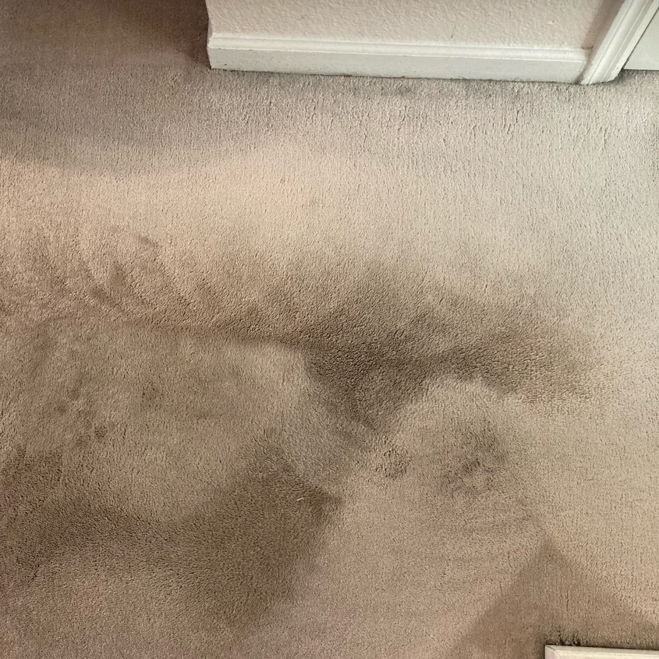 deep carpet cleaning in Scottsdale