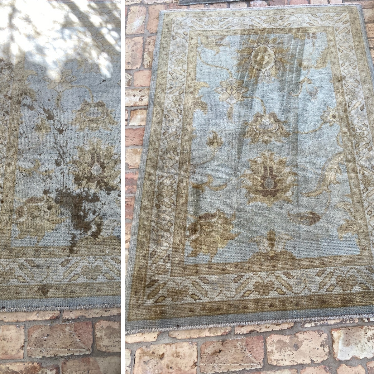 area rug cleaning in North Scottsdale