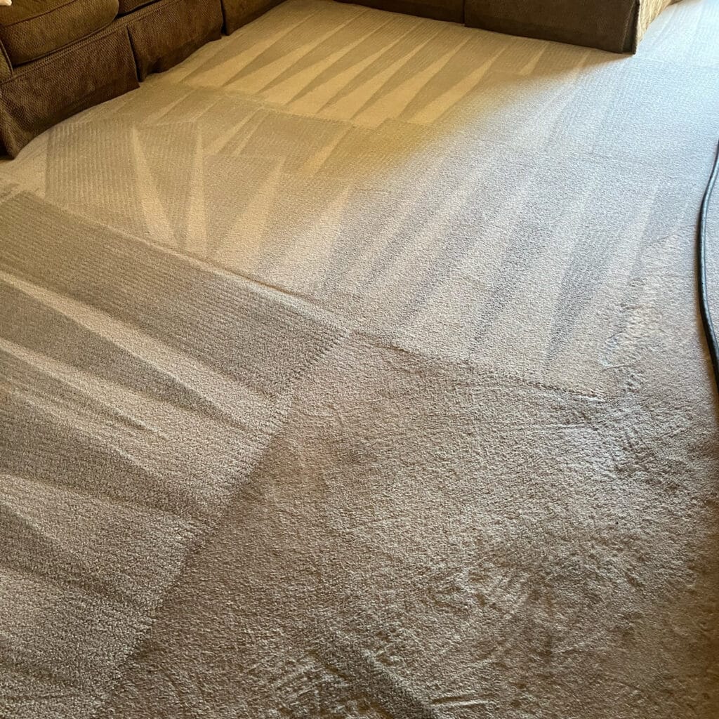 carpet cleaning services in Scottsdale, Arizona