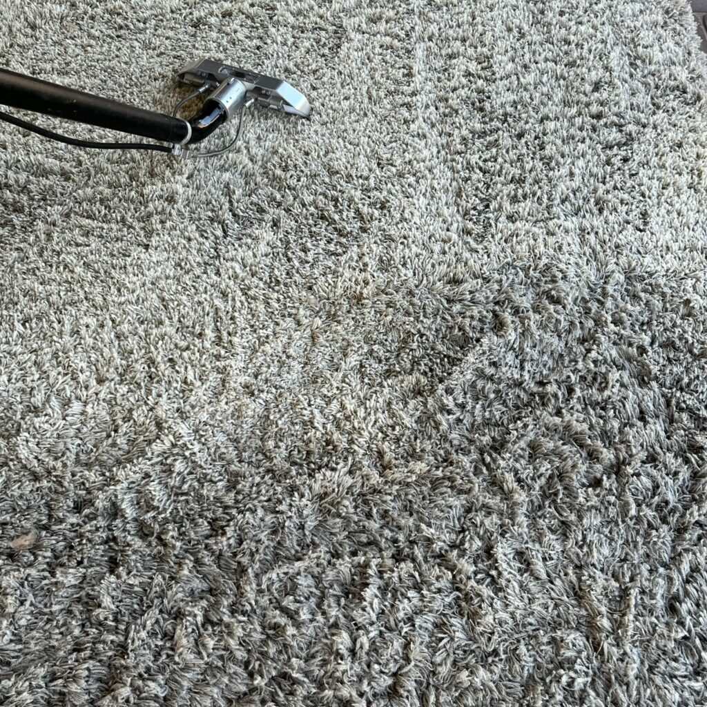 Area rug cleaning in Phoenix