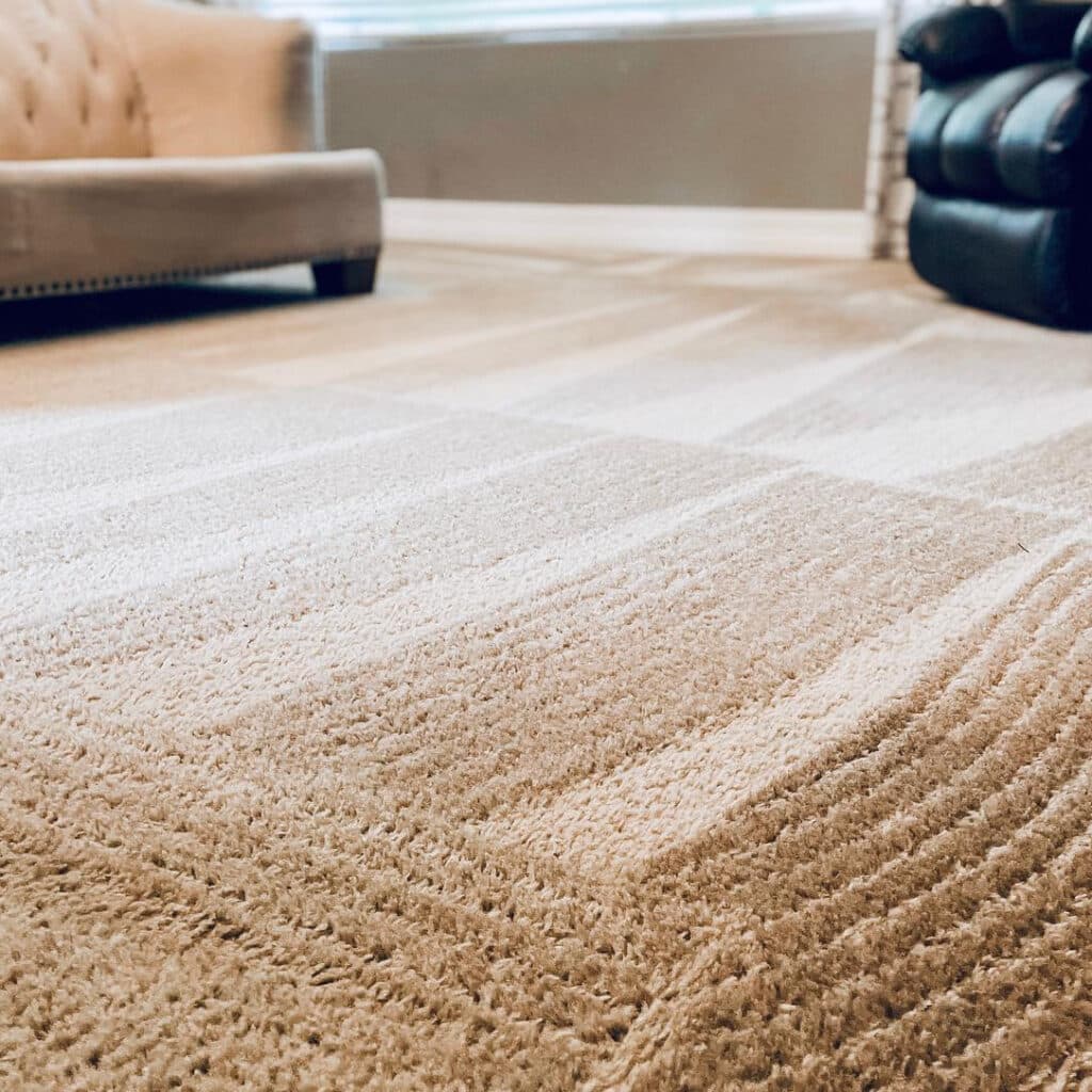 best carpet cleaner in Scottsdale, Arizona