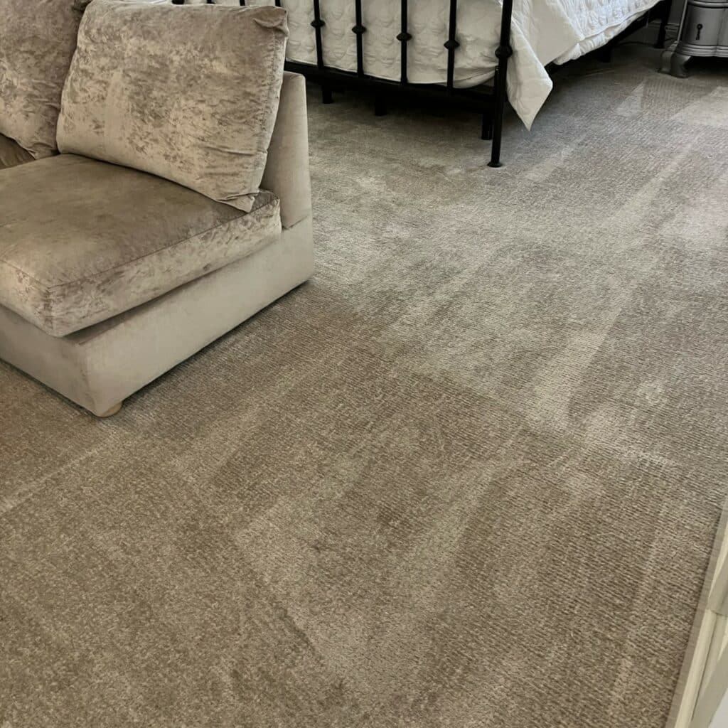 carpet shampooer in Scottsdale