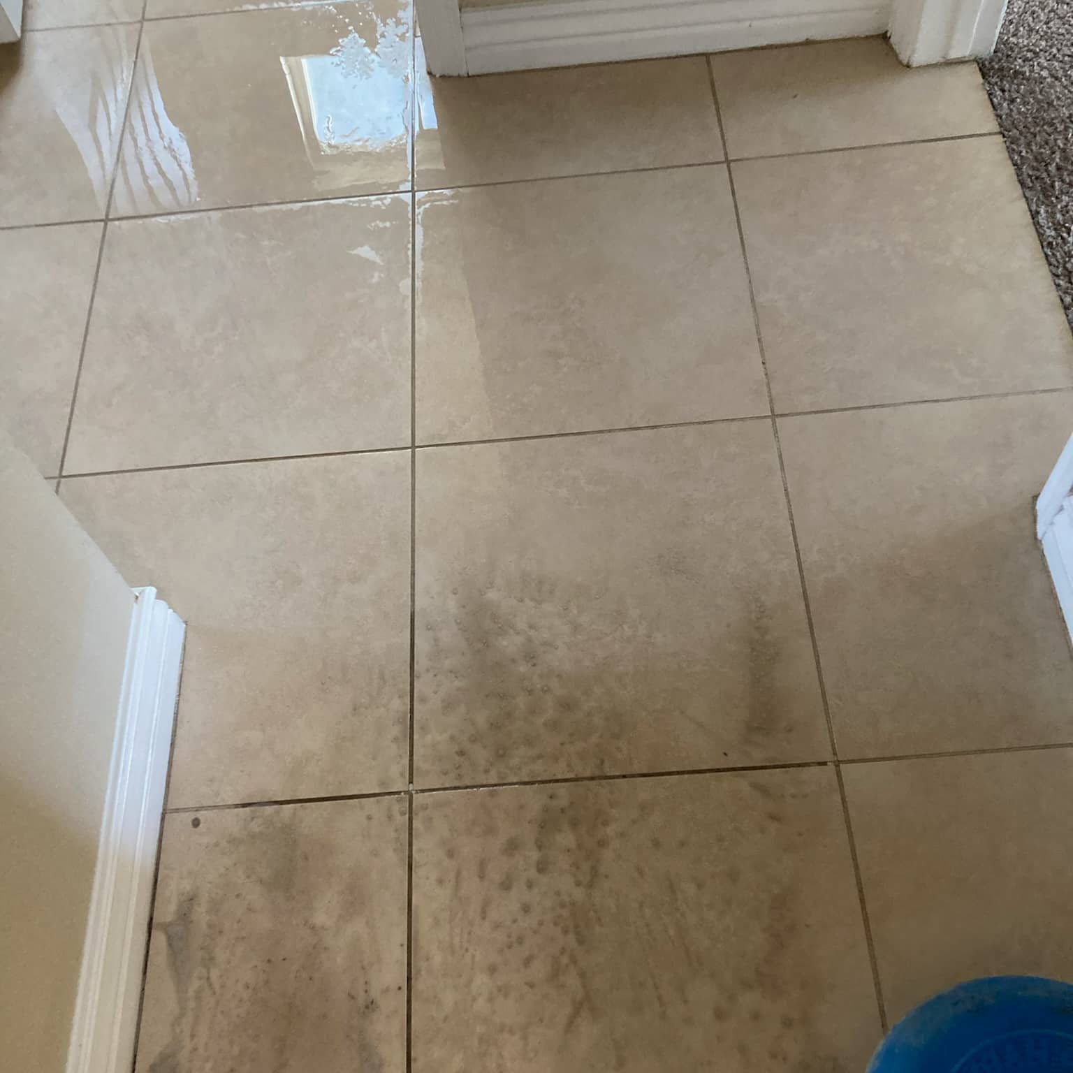 Tile floor cleaning in Scottsdale
