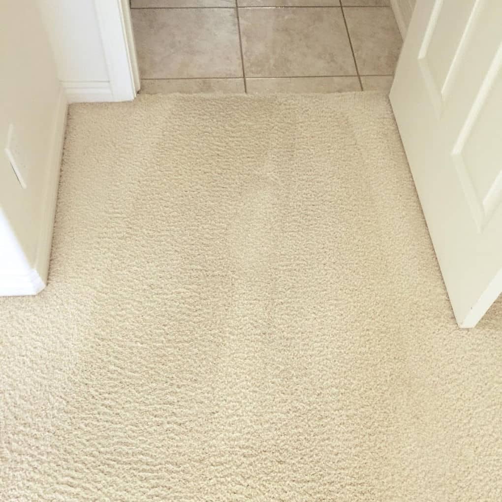 Carpet cleaning in Paradise Valley