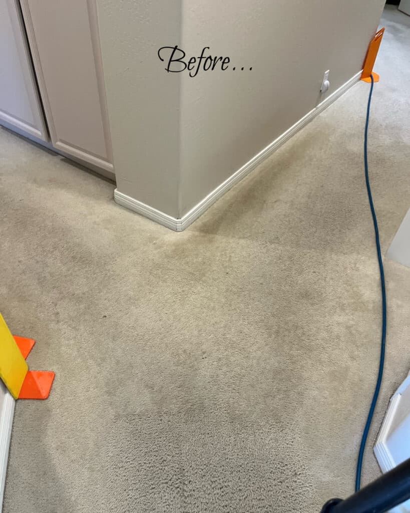 Before cleaning a dirty carpet